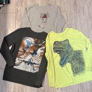 Lot of 3❗️Graphic Long Sleeve Shirts- Size L 10/12